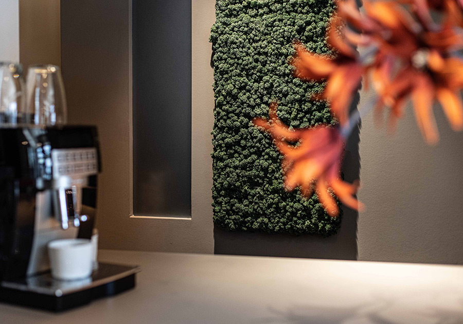 Vertikale Moosfläche an einer Wand im modernen Showroom