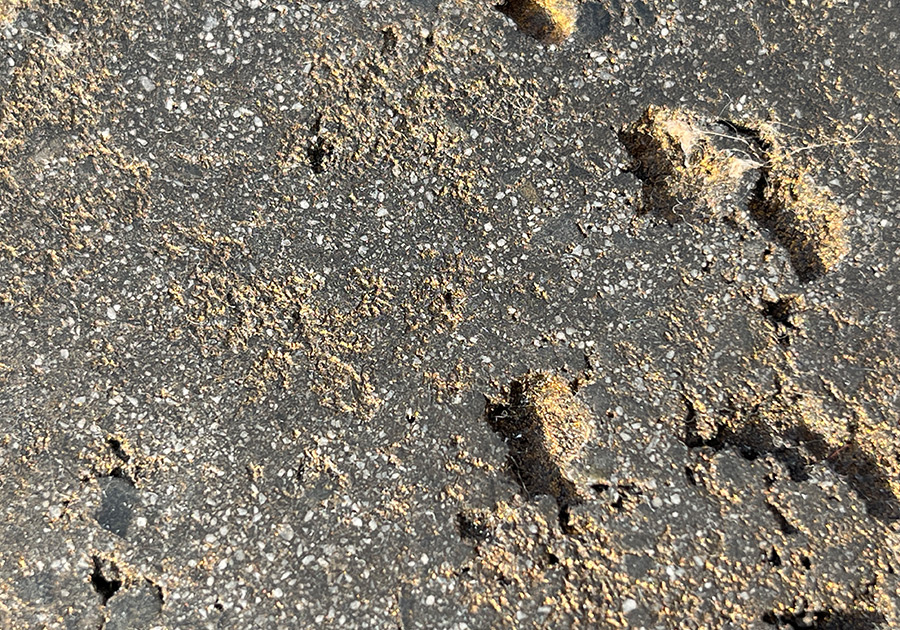 wand rough Oberfläche